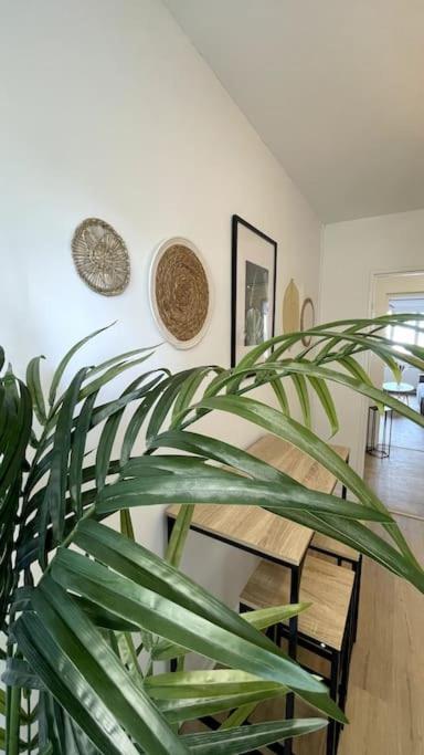 L'Instant Present - Calme & Elegant Proche Gare Apartamento Roanne Exterior foto